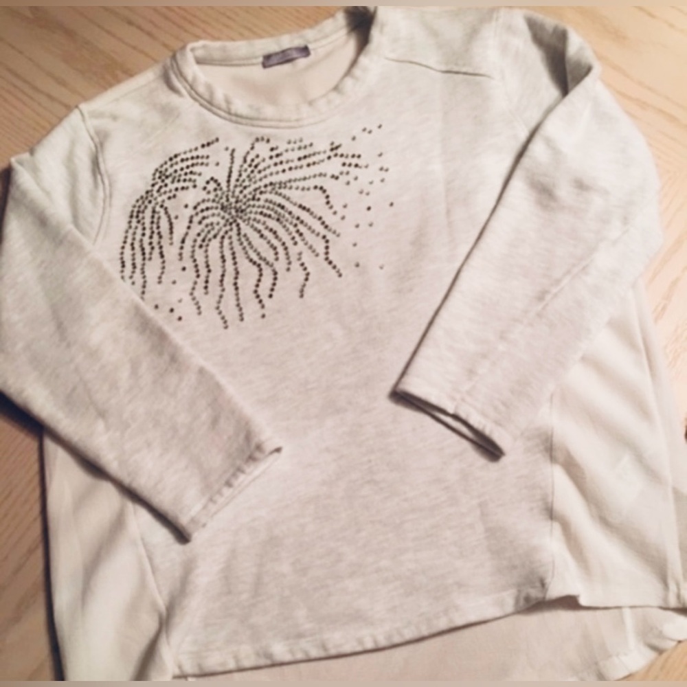 ZARA Silver & Gold Studded Sweatshirt | High-Low | L | Sheer Back | NWT